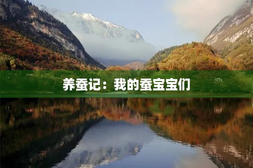 养蚕记：我的蚕宝宝们