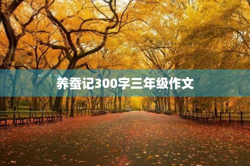 养蚕记300字三年级作文