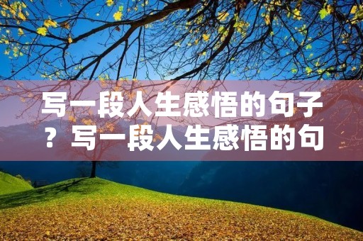写一段人生感悟的句子？写一段人生感悟的句子150字