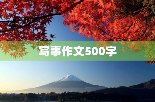 写事作文500字 写事作文500字