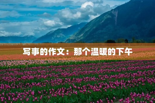 写事的作文：那个温暖的下午