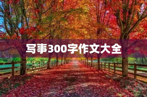 写事300字作文大全