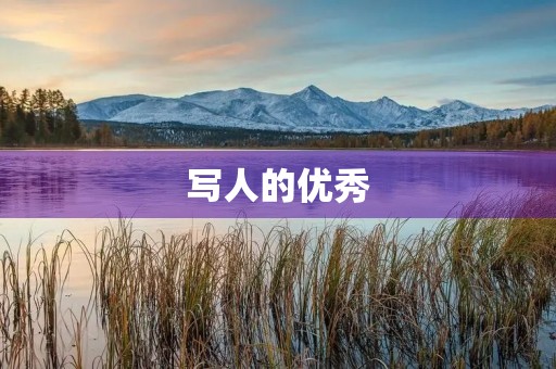 写人的优秀