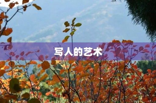 写人的艺术