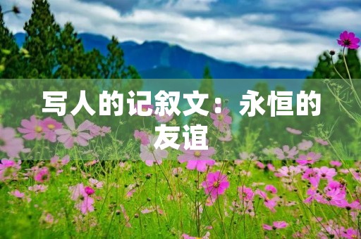 写人的记叙文:永恒的友谊 写人的记叙文:永恒的友谊