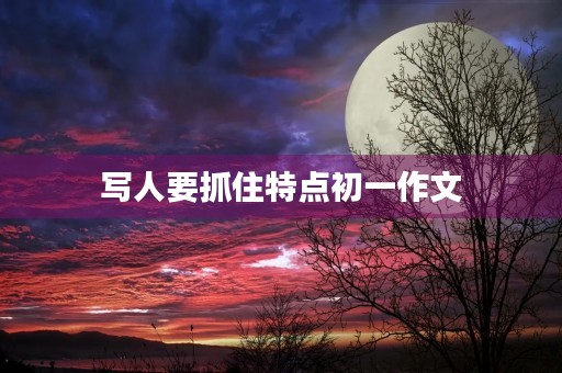 写人要抓住特点初一作文 写人要抓住特点初一作文