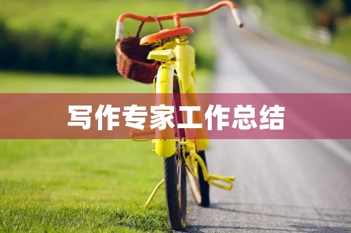 写作专家工作总结