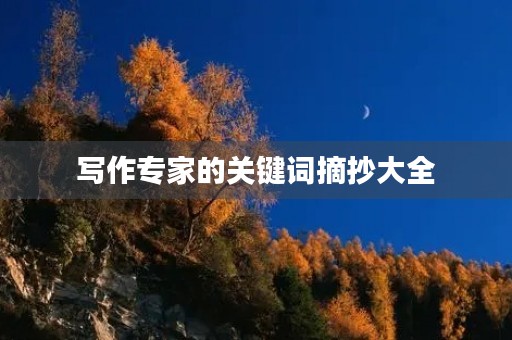写作专家的关键词摘抄大全 写作专家的关键词摘抄大全