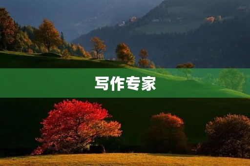 写作专家,你来了! 写作专家,你来了!