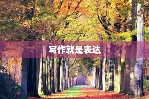 写作就是表达