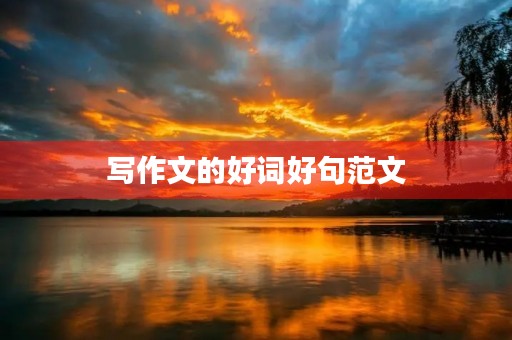 写作文的好词好句范文