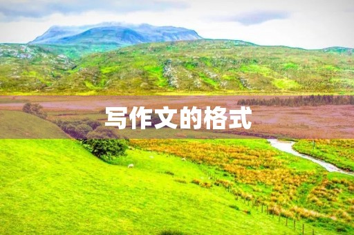 写作文的格式 写作文的格式