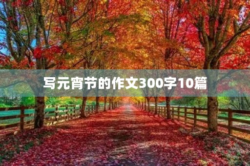 写元宵节的作文300字10篇