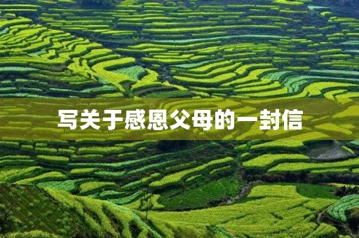 写关于感恩父母的一封信
