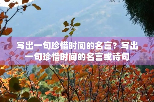 写出一句珍惜时间的名言?写出一句珍惜时间的名言或诗句 写出一句珍惜时间的名言?写出一句珍惜时间的名言或诗句