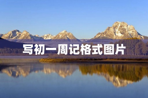 写初一周记格式图片