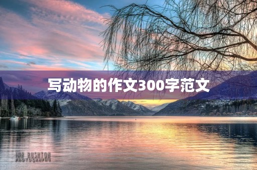 写动物的作文300字范文