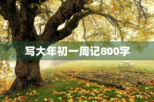 写大年初一周记800字 写大年初一周记800字