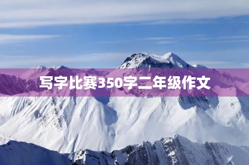 写字比赛350字二年级作文