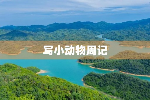 写小动物周记 写小动物周记