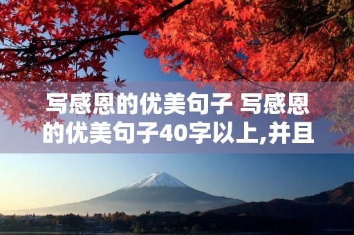 写感恩的优美句子 写感恩的优美句子40字以上,并且感受25字 写感恩的优美句子 写感恩的优美句子40字以上,并且感受25字