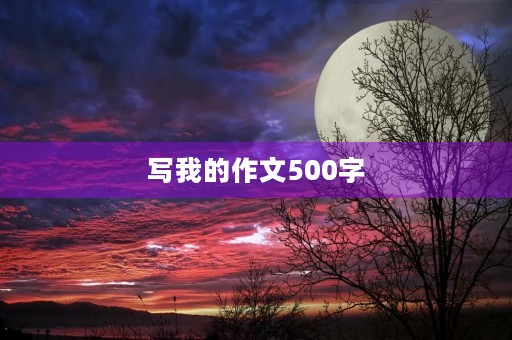 写我的作文500字 写我的作文500字