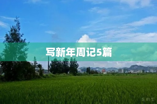 写新年周记5篇