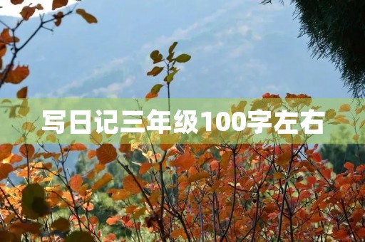 写日记三年级100字左右