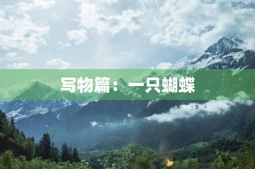写物篇：一只蝴蝶
