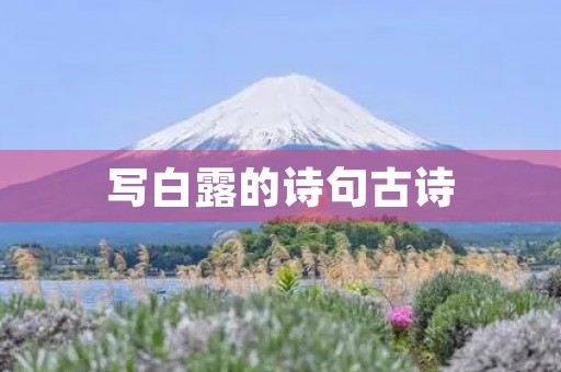写白露的诗句古诗