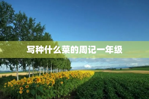 写种什么菜的周记一年级 写种什么菜的周记一年级