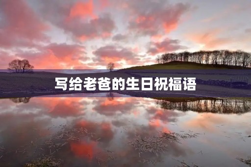 写给老爸的生日祝福语，祝爸爸生日的四言八句
