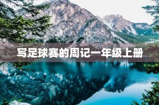 写足球赛的周记一年级上册