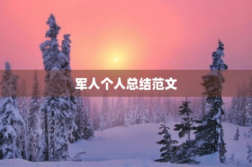 军人个人总结范文