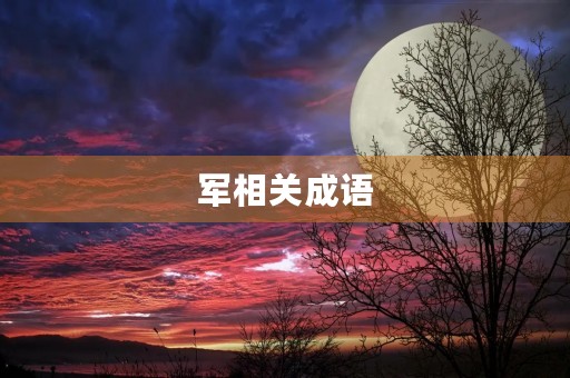 军相关成语