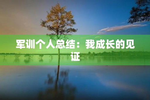 军训个人总结:我成长的见证
