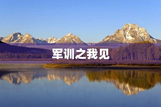 军训之我见