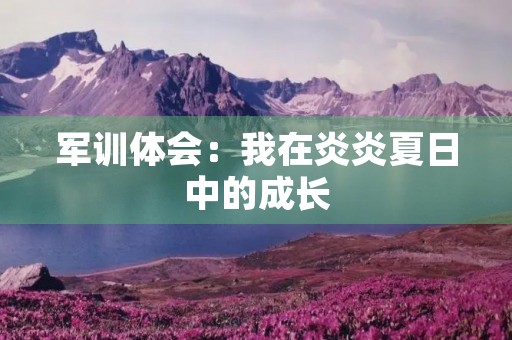 军训体会：我在炎炎夏日中的成长