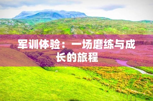 军训体验：一场磨练与成长的旅程