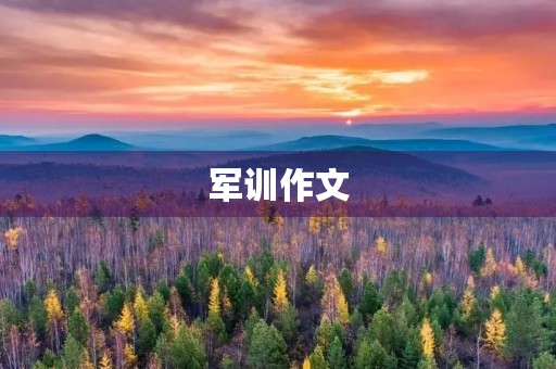军训作文