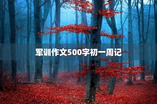 军训作文500字初一周记 军训作文500字初一周记