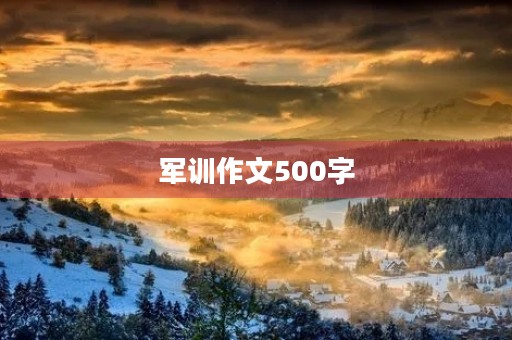 军训作文500字 军训作文500字