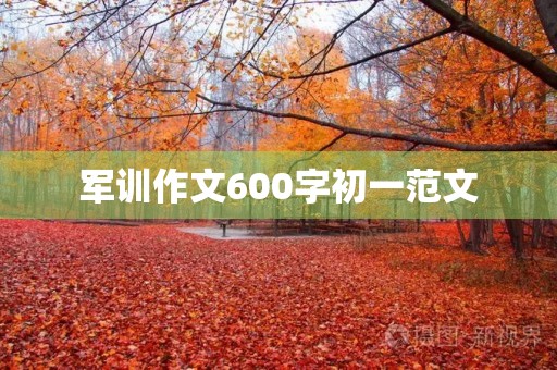 军训作文600字初一范文