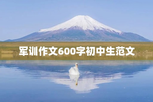 军训作文600字初中生范文