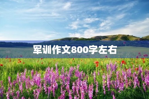 军训作文800字左右 军训作文800字左右