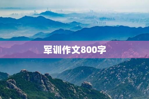 军训作文800字