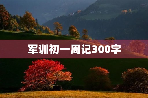 军训初一周记300字 军训初一周记300字