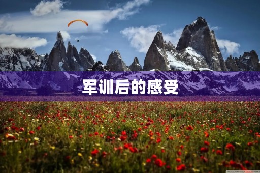 军训后的感受