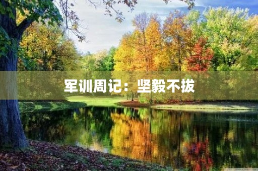 军训周记：坚毅不拔，磨砺成才
