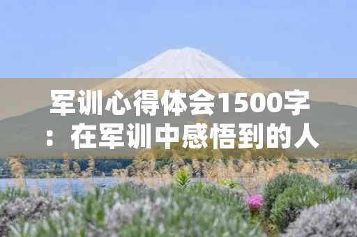 军训心得体会1500字：在军训中感悟到的人生道理